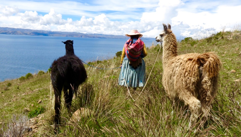 Borrowed Luck and Hopping Prosperity on Isla de la&nbsp;Luna