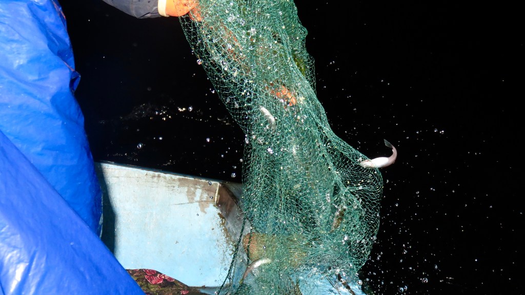 Reeling Ispi Before Dawn on Lake&nbsp;Titicaca